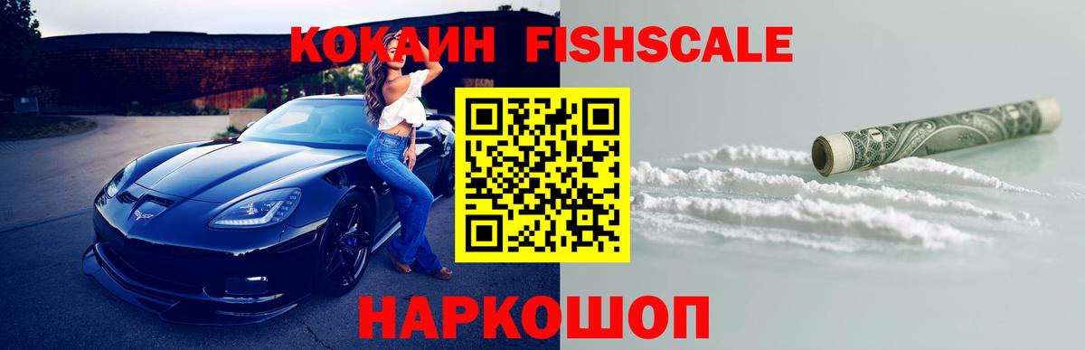 Cocaine FishScale  Вход с VPN  Ноябрьск 